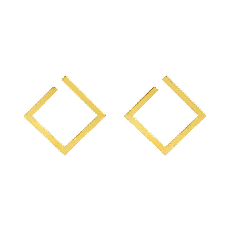 Irregular Stud Earrings